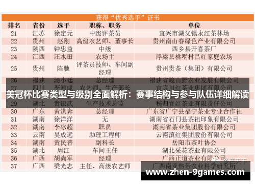 美冠杯比赛类型与级别全面解析：赛事结构与参与队伍详细解读
